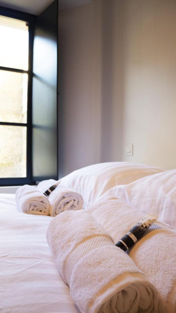 Le Celeste: Hypercentre, Quiet And Parking Apartment Poitiers